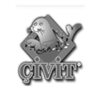 ÇİVİT